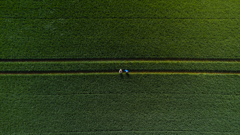 Investment background